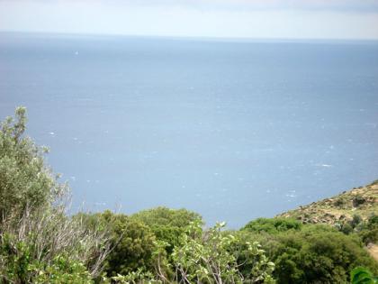 Schönes Baugrundstück auf Evia / Griechenland