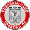 Berliner Damenfußballverein sucht noch diverse Spielerinnen!