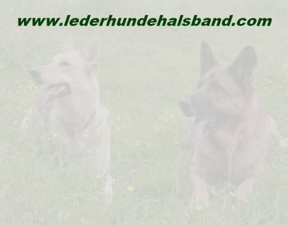 Geflochtene Hundehalsbänder