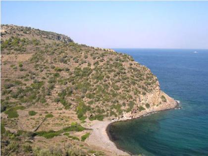 Unser Angebot auf der Insel Egina/Saronischer Golf/Griechenland