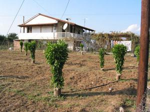 Baugrundstueck nahe der Stadt Nafplio/Griechenland