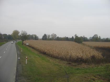 Gewerbe Grunstück bei Breslau