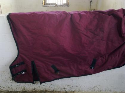 Schöne dunkelrote Winterpferdedecke günstig zu verkaufen!