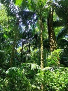 Proberaumbeteiligung für Musiker in Hamburg Ottensen