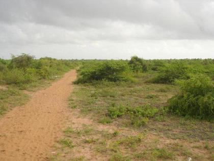 Natur-Grundstück m Bereich Santa Lucia / Brasilien