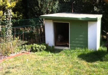 Hundehütte zu verschenken