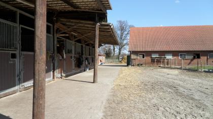 FN Pferde Boxen & Offenstallplätze frei in 28816 Stuhr, Vollpension möglich