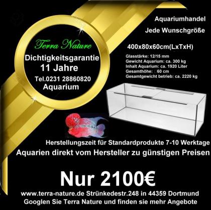 Aquarium Handel 160x50x50cm ca.400 L