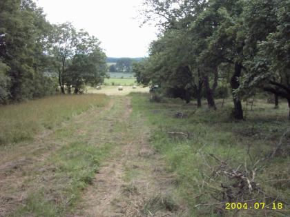 WEIDELAND inkl. OBSTWIESE