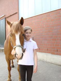 Wer stellt mir sein Pferd/Pony zur Verfügung?