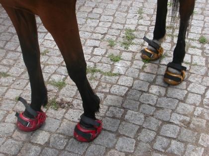 Hufschuhverleih (Renegades, Easyboots)
