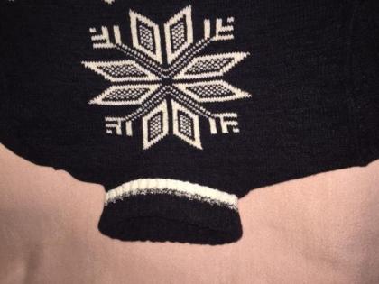 Pullover neuwertig