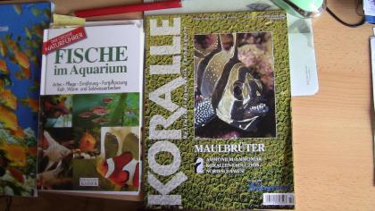 28 Koralle Zeitschriften v. Ende2021 -2021 + Fische im Aquarium