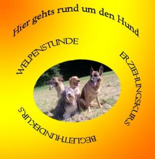 Hundeschule-Dogcoaching-Pension, hier gehts rund um den Hund