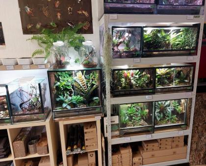 Zubehör, Pflanzen, Futtertiere, Terrarien...