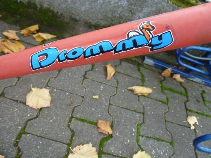 (38) Nachläufer klappbar 20 Zoll RH 24