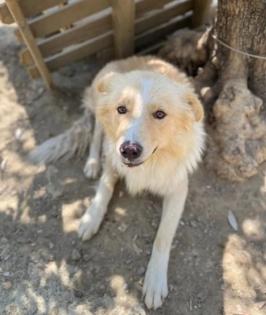 Bounty sucht ein passendes Zuhause
