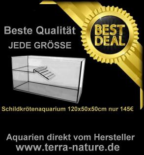 Schildkröten Terra Aquarium 120x50x40cm Wasserschildkröten Becken mit Landteil