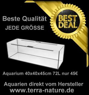 Aquarium 400x70x80cm 2560 L jedes andere Maß möglich