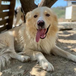 Bounty sucht ein passendes Zuhause