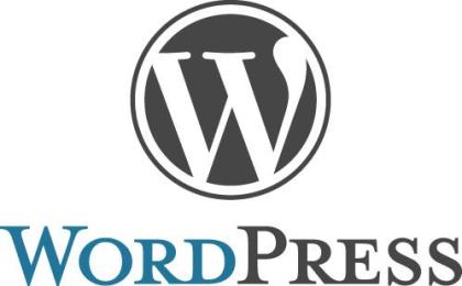 Performance-Power für WordPress, Woocommerce, Typo3 und Shopware Enterprise