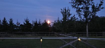 Offenstallplatz frei