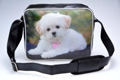 MITTELTASCHEN UMHÄNGETASCHE SPORTTASCHEN SCHULTERTASCHEN TASCHEN COLLEGE RETRO