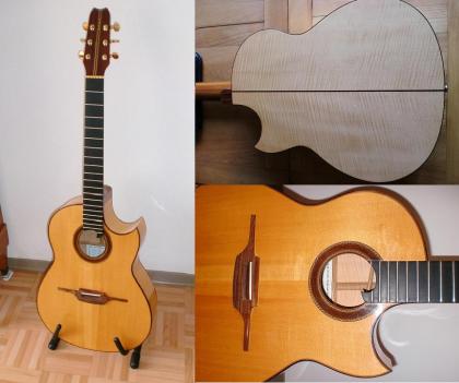Custom-Cutaway von Manfred Pletz - Taunusstein 