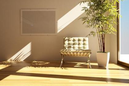 Professionelle Feng Shui Beratung in Hamburg | www.dein-feng-shui.de