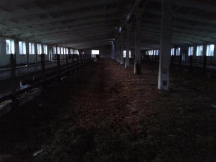 Kapitalanlage, Stallgebäude für Hühner, Schweine , Kühe