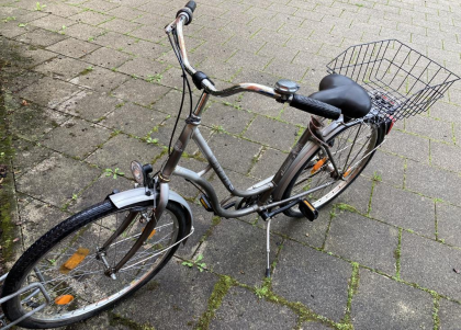 Stadtfahrrad Bavaria Line Lizzard für Damen, Nabenschaltung, Beleuchtung, Korb