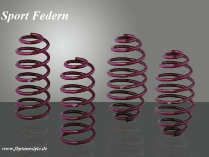Vogtland Federn,Sport und Gewindefahrwerke zu Winterpreisen