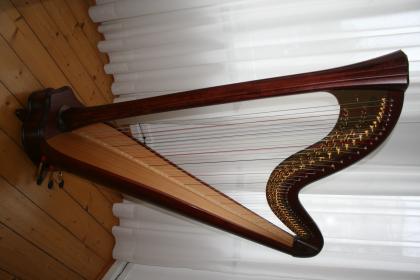 Salvi Daphne 40