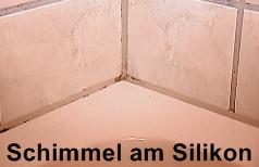 Schimmelentferner, der Extra Starke Umweltfreundliche