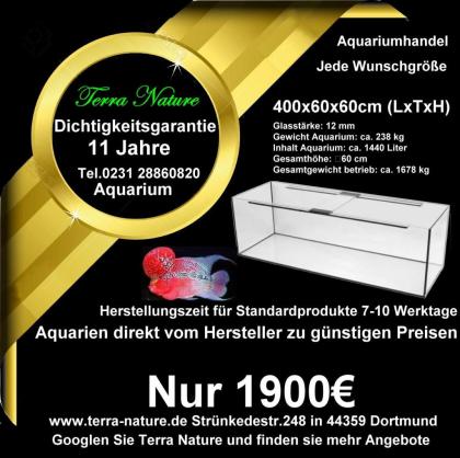 Aquarium Handel 160x50x50cm ca.400 L