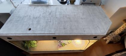 Terrarium mit Bartagamen Päarchen *Premium Eigenbau, eyecatcher*