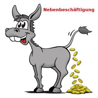 Nebenbeschäftigung