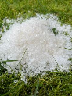 Hydrogel Wassergel 500 g, Agrogel für Pflanzen und Blumen Wassers
