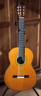 Stefan Hahl´s Meistergitarre 