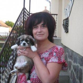 Alleine leben - nein danke