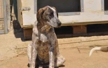 Colette sucht ein passendes Zuhause
