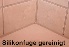 Schimmelentferner, der Extra Starke Umweltfreundliche