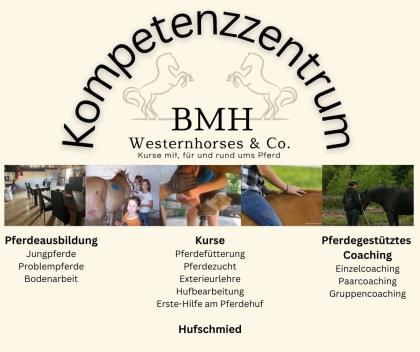 Hufkurs - Hufbearbeitung