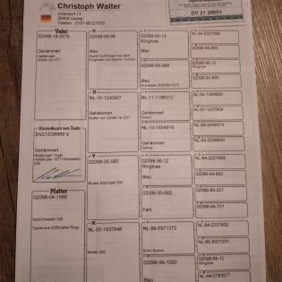 Brieftauben (Jungtauben 2024) - mehrmaliger RV-Meister