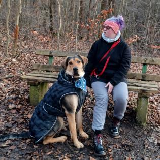 Valentino sucht neue, liebevolle- aber hundeerfahrene Menschen!