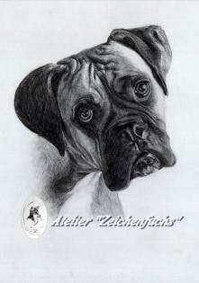 Atelier „Zeichenfuchs“ - Portraitzeichnung als Geschenkidee
