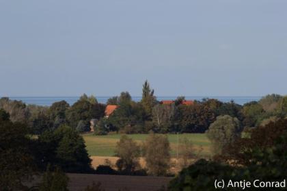Wabenhausherberge Grüne Wiek - modernes Camping an der Ostsee