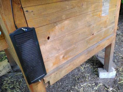 Winterfester Hühnerstall