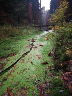 FASTENWANDERN IN DER SÄCHSISCHEN UND BÖHMISCHEN SCHWEIZ