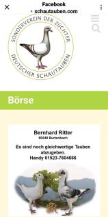 Deutsche Schautauben